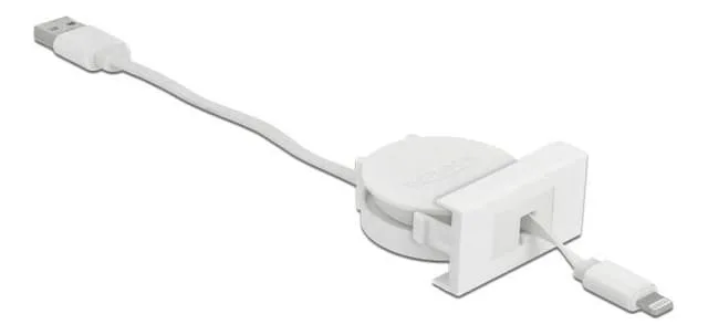 DeLock Easy 45 Module USB 2.0 Retractable