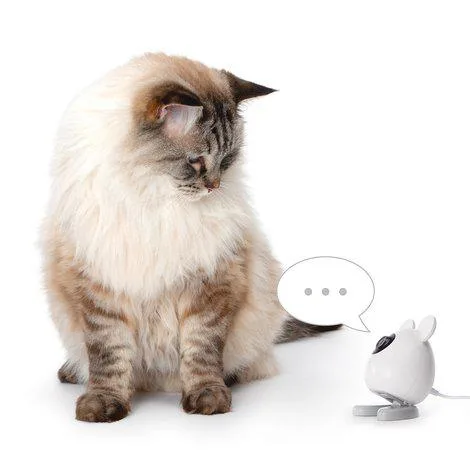 Catit - PIXI Smart Camera 7x12cm