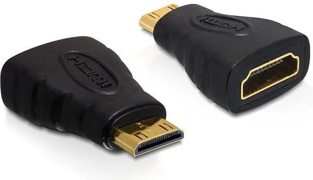 DeLock Adapter