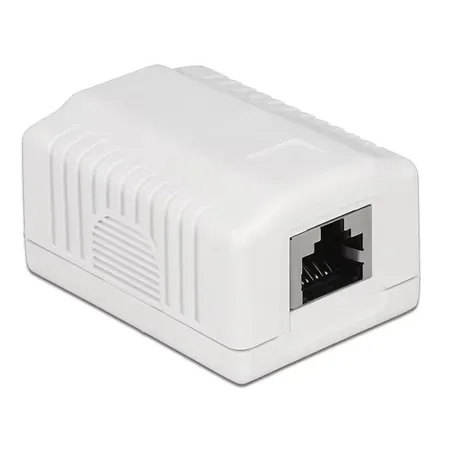 Delock nätverksuttag CAT 6A, utanpåliggande, vit