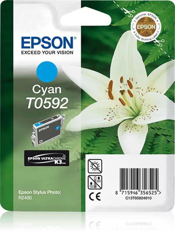 Epson Bläck Cyan STYLUS Foto R2400