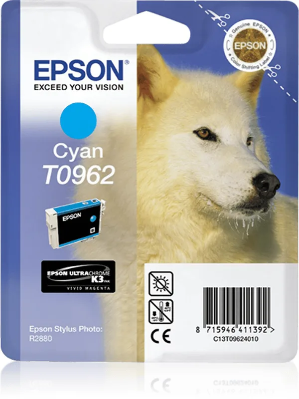 Epson Bläck Cyan STYLUS Foto R2880