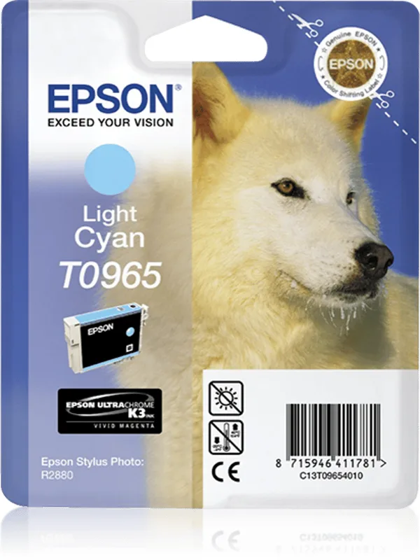 Epson Bläck Ljus Cyan STYLUS Foto R2880