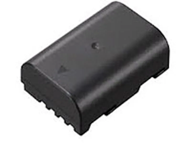 Panasonic Battery DMW-BLF19E