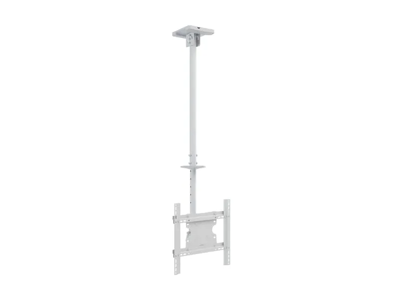 M Public Ceilingmount Medium White Single
