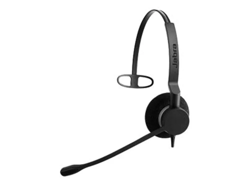 Biz 2300