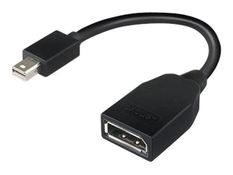 Lenovo Mini-Displayport till Displayport Adapter
