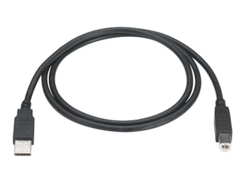 Black Box Usb 2.0 Cable Type A/b M/m