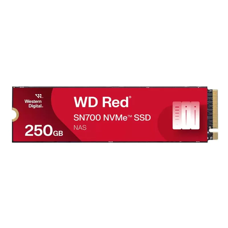 SanDisk Red SN700 250GB SSD