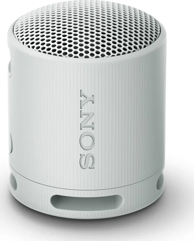 Sony SRS-XB100 Trådlös högtalare