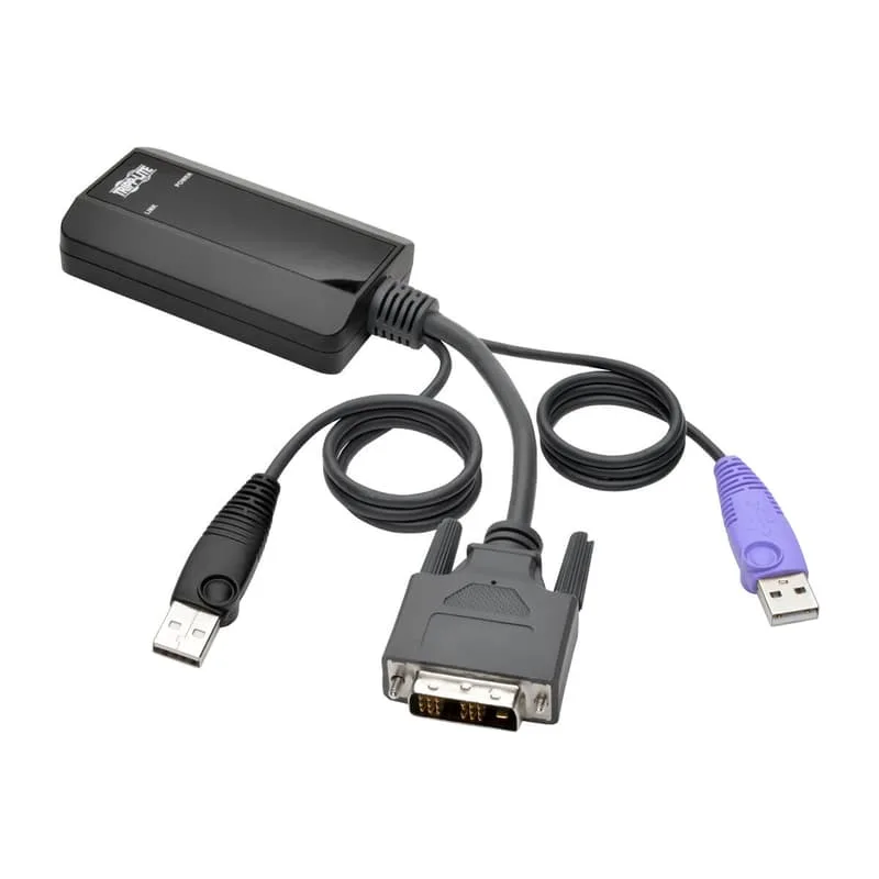 NetDirector DVI USB Server Interface Unit (B064-IPG Series)