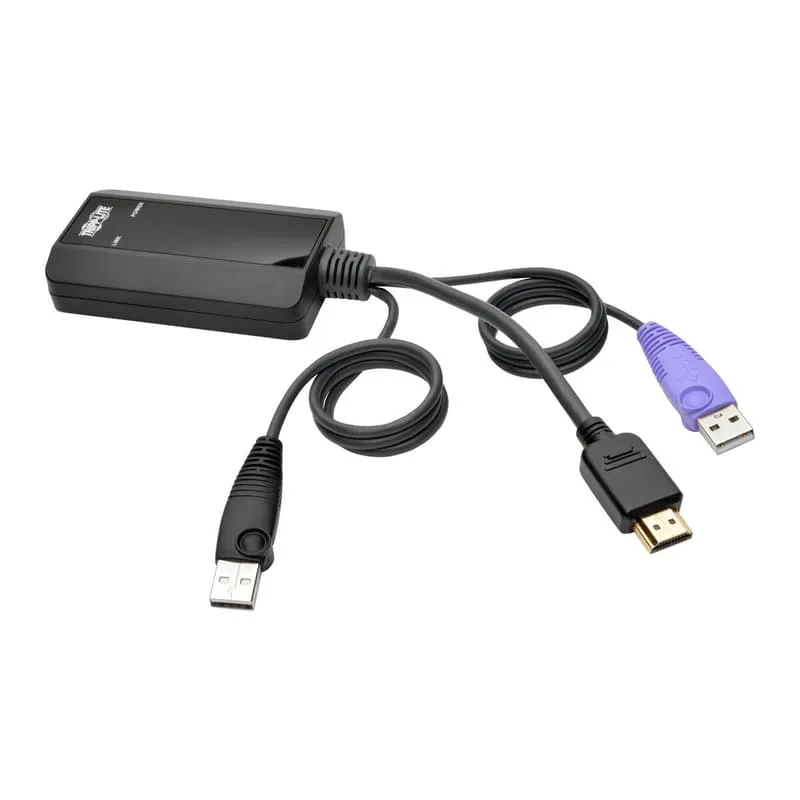 NetDirector HDMI USB Server Interface Unit (B064-IPG Series)