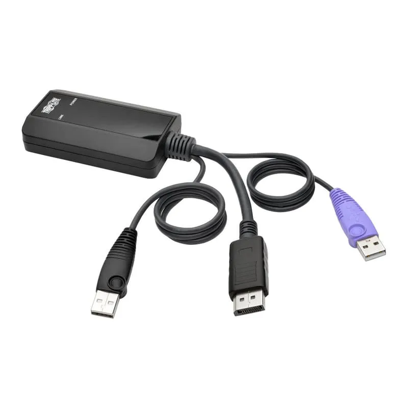 NetDirector DisplayPort USB Server Interface Unit (B064-IPG Series)