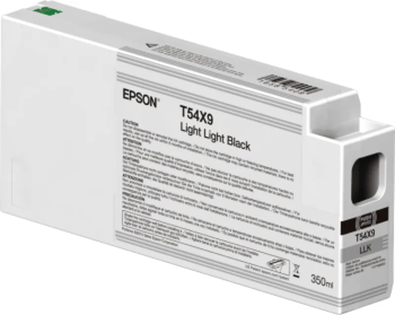 Epson Bläck Ljus Svart T54X900 UltraChrome HDX/HD