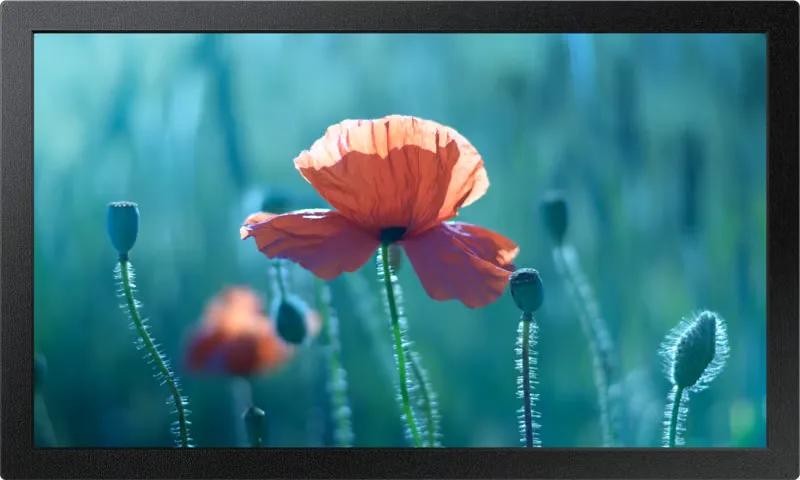 Samsung QB13C LH13QBCEBGBXEN 13" Full HD skyltningsdisplay