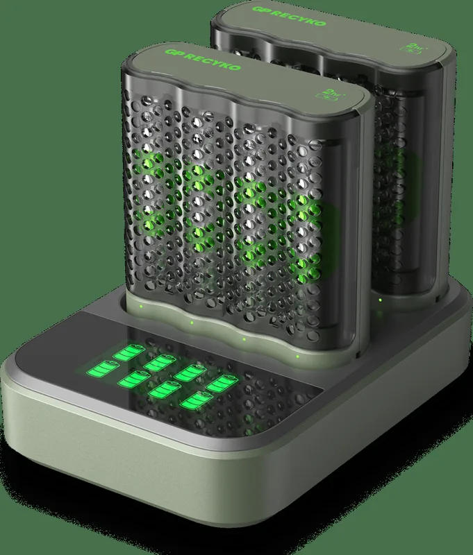 ReCyko Speed Batteriladdare M452