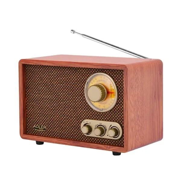 24 Trådlös högtalare med Bluetooth och FM/AM-radio