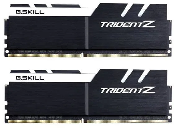 G.Skill F4-4133C19D-16GTZKWC RAM-minnen