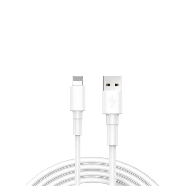 24 Reekin Laddningskabel Lightning/iPhone 2,4A
