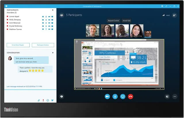 Lenovo ThinkVision M14 14"