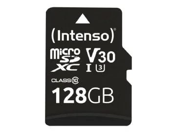 Intenso Professional