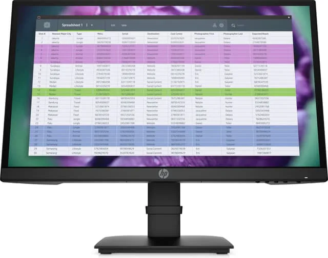 HP P22 G4 21.5" monitor