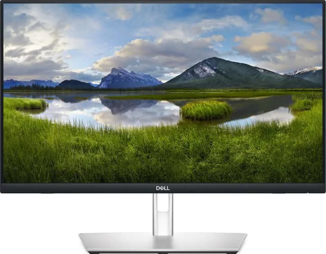 Dell P2424HT