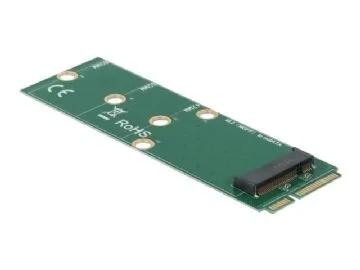 Delock - Gränssnittsadapter - M.2 - M.2 Card - mSATA