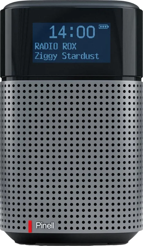 Pinell North Basic portabel digitalradio (svart)