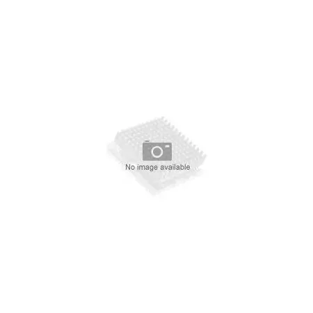 Intel Xeon CPU