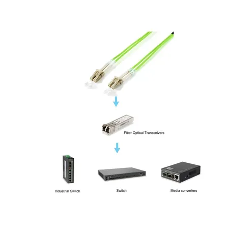 Equip 255711 InfiniBand- och fiberoptisk kabel 1 m LC grön