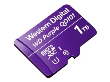 WD Purple WDD100T1P0C