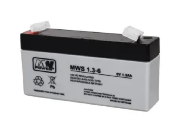 MW Power MWS 1.3-6