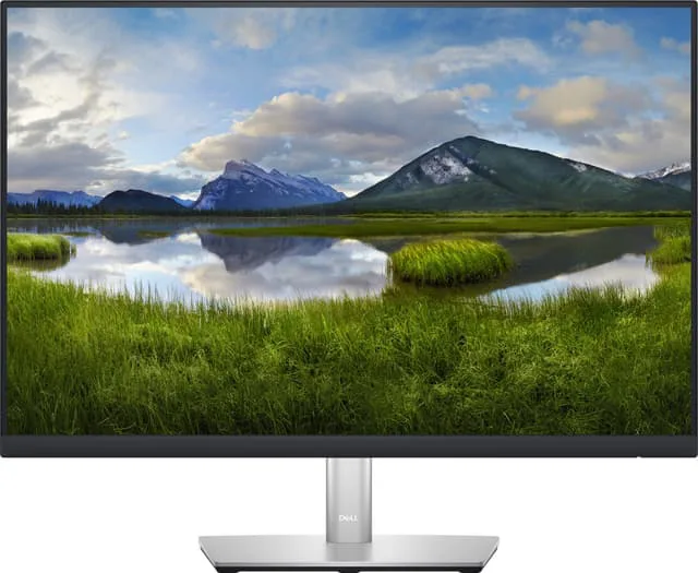 Dell P2423