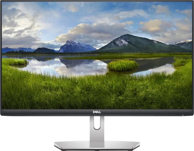 DELL S2421HN 23.8" bildskärm