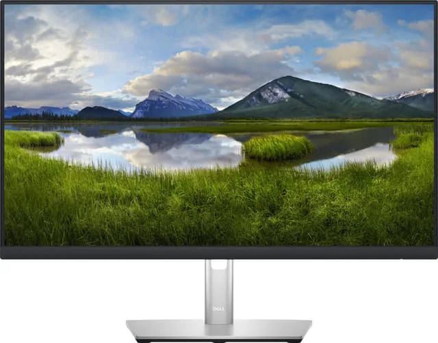 Dell P2423D skärm