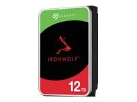 Seagate IronWolf 6 TB