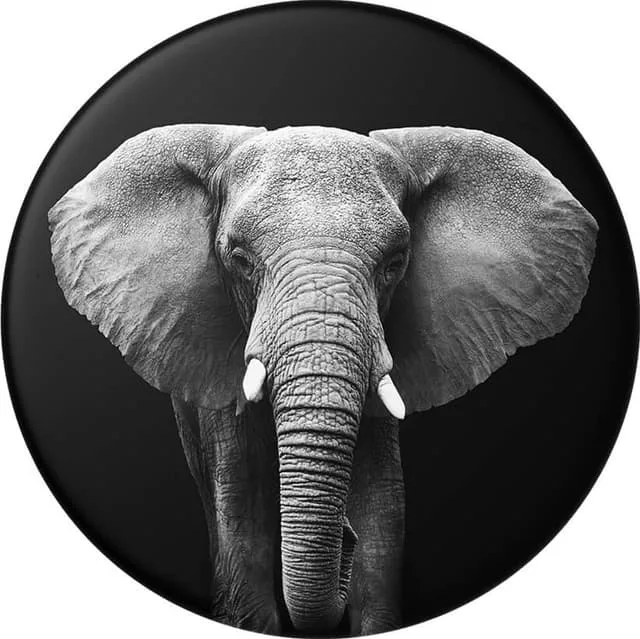 Popsockets PopTop utbytbar topp (africana)