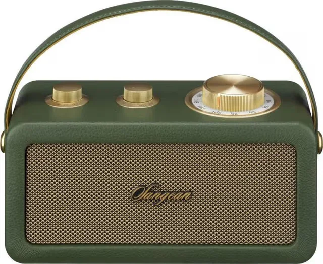 Batteridriven radio Sangean RA-101 FM uppladdningsbart Grön, Guld