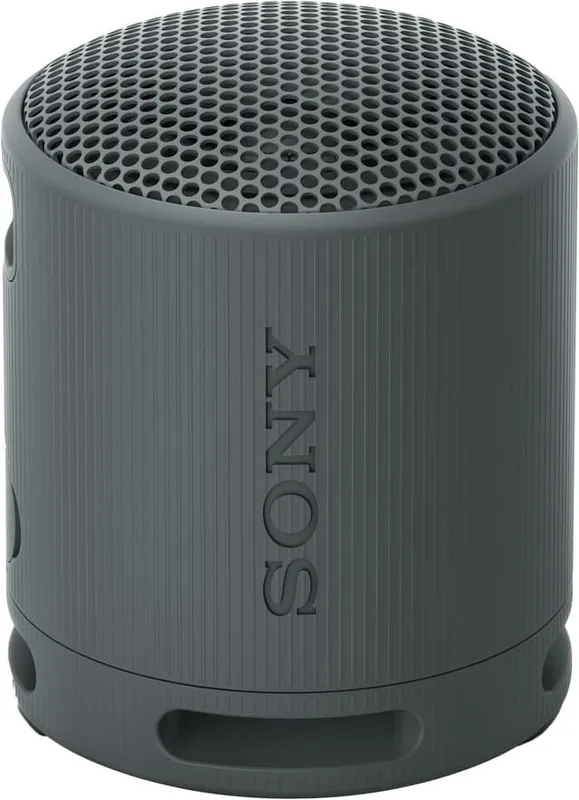 Sony SRS-XB100 trådlös bärbar högtalare