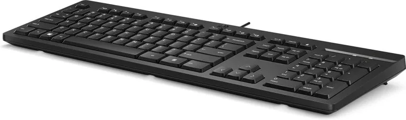 HP 125 tangentbord USB med kabel, QWERTY M27527-L31