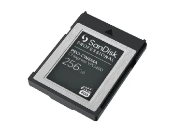 SanDisk Professional