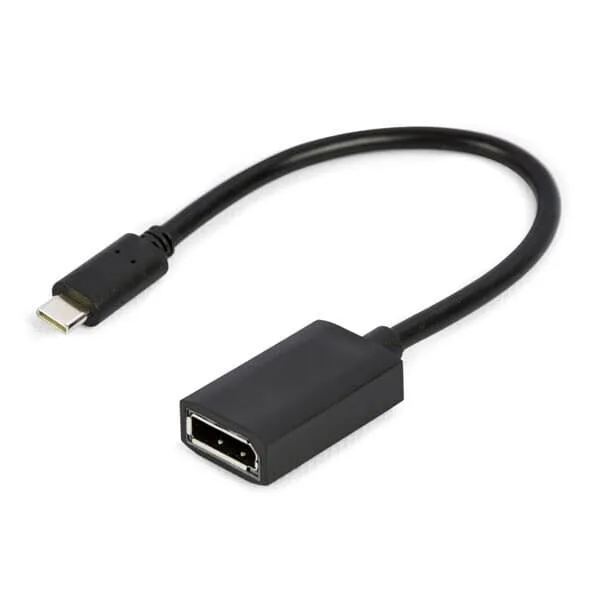 24 USB-C till DisplayPort-adapter 4K 15cm