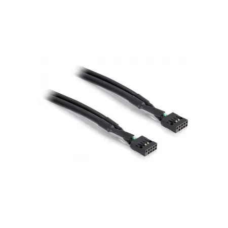 Delock - USB-kabel - 10-stifts USB-överdel till 10-stifts USB-överdel