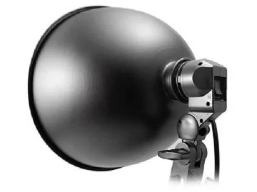 Single Lampholder For A Light Bulb And A Umbrella
