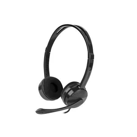 NATEC Canary headset med sladd för kontor och callcenter, svart