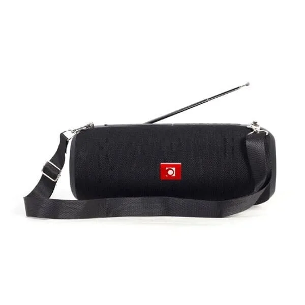 24 Bärbar Bluetooth-högtalare med FM-radio