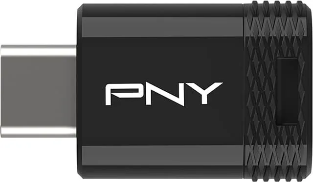 PNY Elite-X Fit Typ-C USB 3.2-minne 256 GB