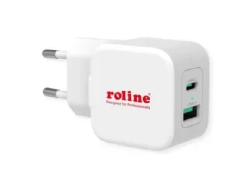 ROLINE 19111052
