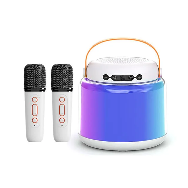 INF Y8 Karaoke-maskin med dubbla mikrofoner och